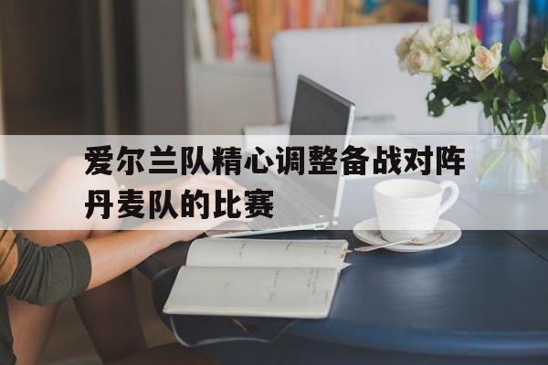爱尔兰队精心调整备战对阵丹麦队的比赛